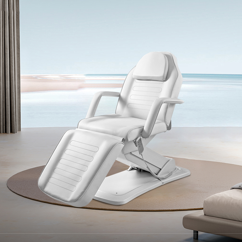 DP-8294電動(dòng)3電機(jī)，牙科美容美體躺椅